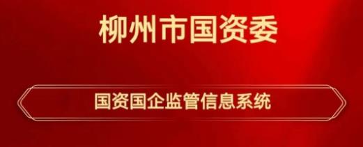 梅州助力“数智国资”！柳州市国资国企在线监管信息系统正式上线