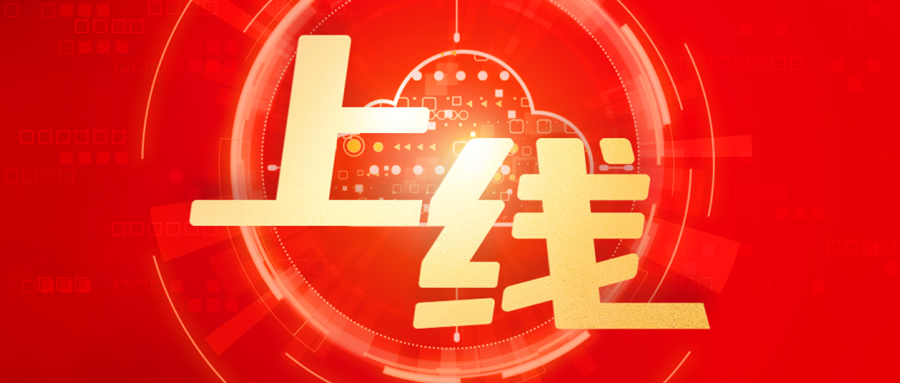 林芝杭钢集团成员紫光环保财务共享中心正式上线运行